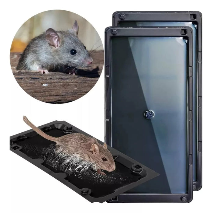Trampa Pegajosa Ratones Repelente Ratas Desratizacion 48 Rb