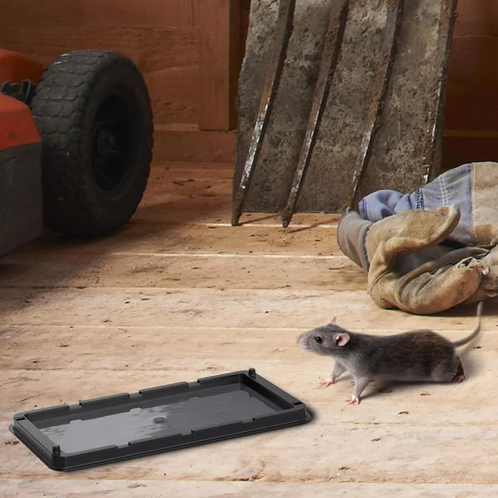 Trampa Pegajosa Ratones Repelente Ratas Desratizacion 48 Rb